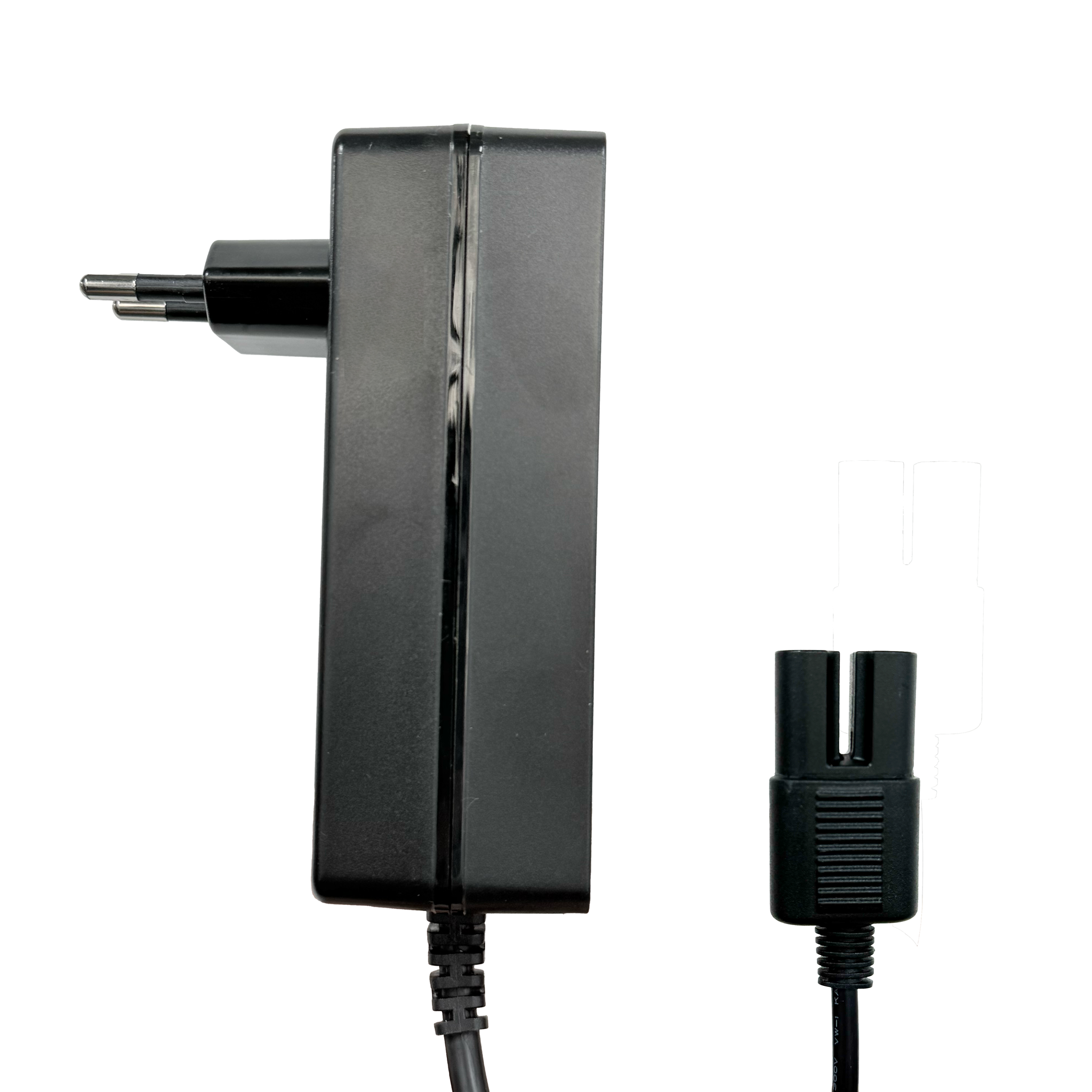 100W Fast Charger for ACE Series
